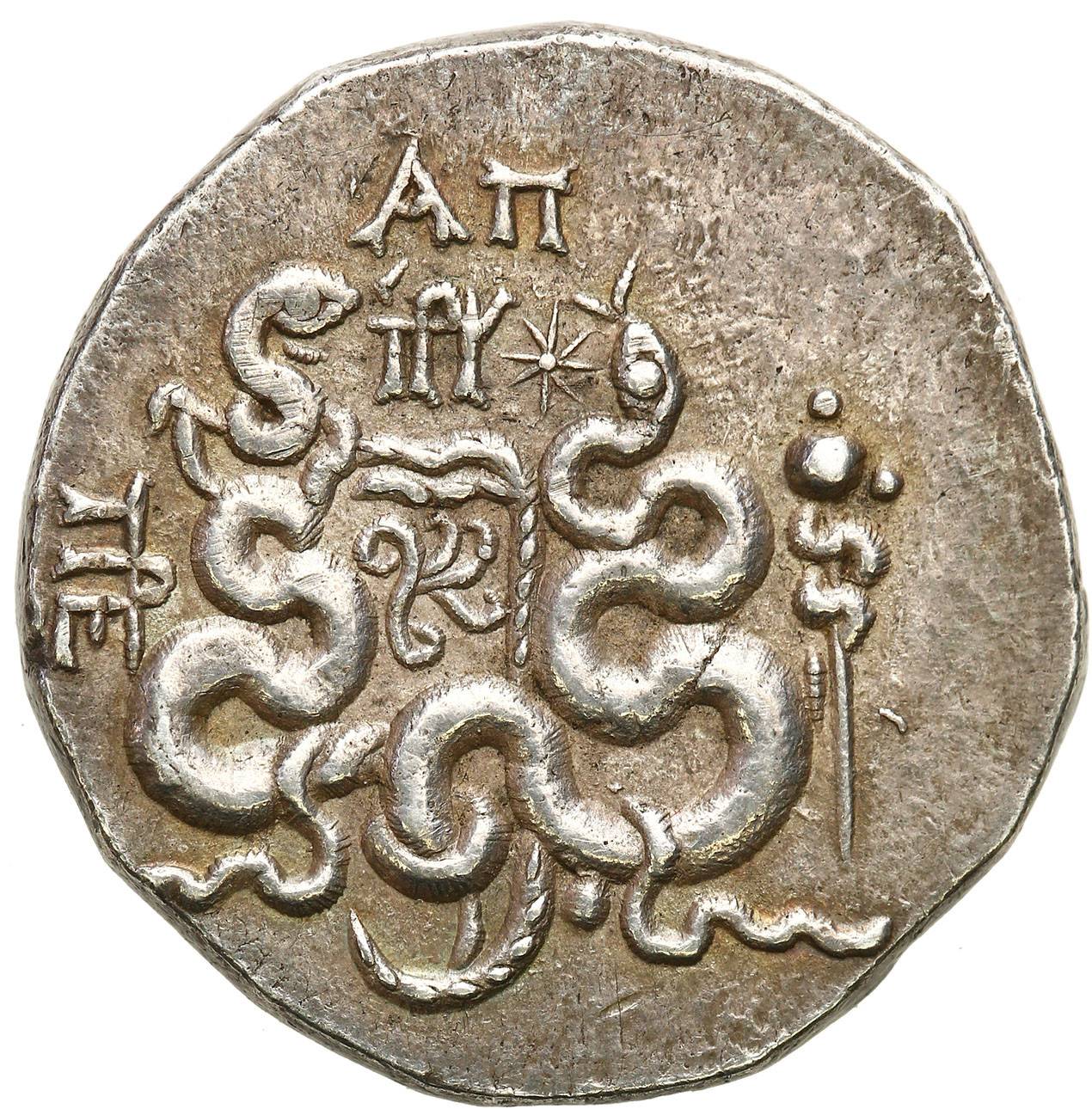 Myzja, Tetradrachma Cystoforyczna, 133-67 r. p. n. e., Pergamon